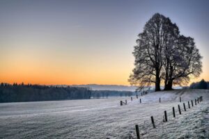 winterlandschap